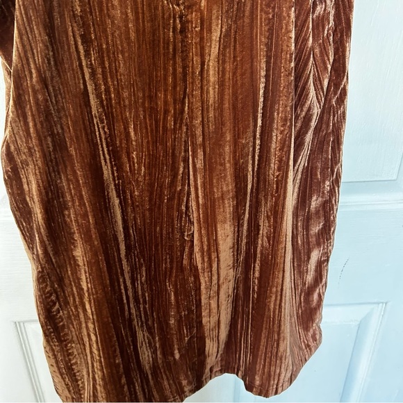 Nordstrom Elodie Velvet dress large nwt - Picture 3 of 14